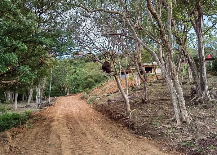 Papaturro House